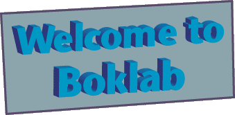 Welcome to Boklab